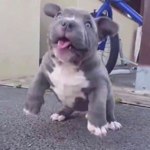 Meet your Posher, Ana